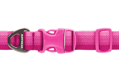 Front Range® Collar
