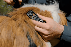 Ridgeline™ Collar