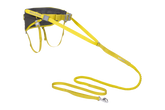 Omnijore™ Dog Joring System