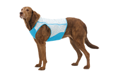 Swamp Cooler Zip™ Cooling Dog Vest