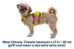 Flagline™ Dog Harness with Handle