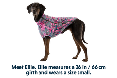 Climate Changer™ Dog Fleece