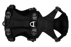 Ridgeline™ Harness