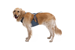 Load Up™ Dog Car Harness