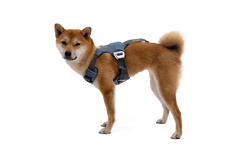 Load Up™ Dog Car Harness