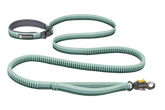 Roamer Lock™ Bungee Dog Leash