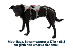 Doubleback™ Full Body Dog Harness