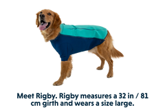 Undercoat™ Dog Water Jacket