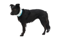 Swamp Cooler™ Cooling Neck Gaiter
