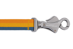 Roamer™ Bungee Dog Leash