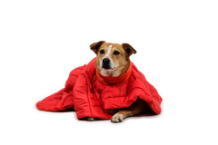 Palisades™ Sleep Poncho
