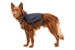 Front Range®  Day Pack