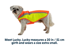 Lumenglow™ High-Vis Vest