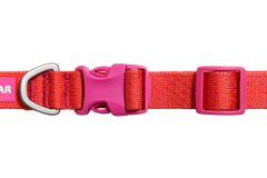 Front Range®  Flex Collar