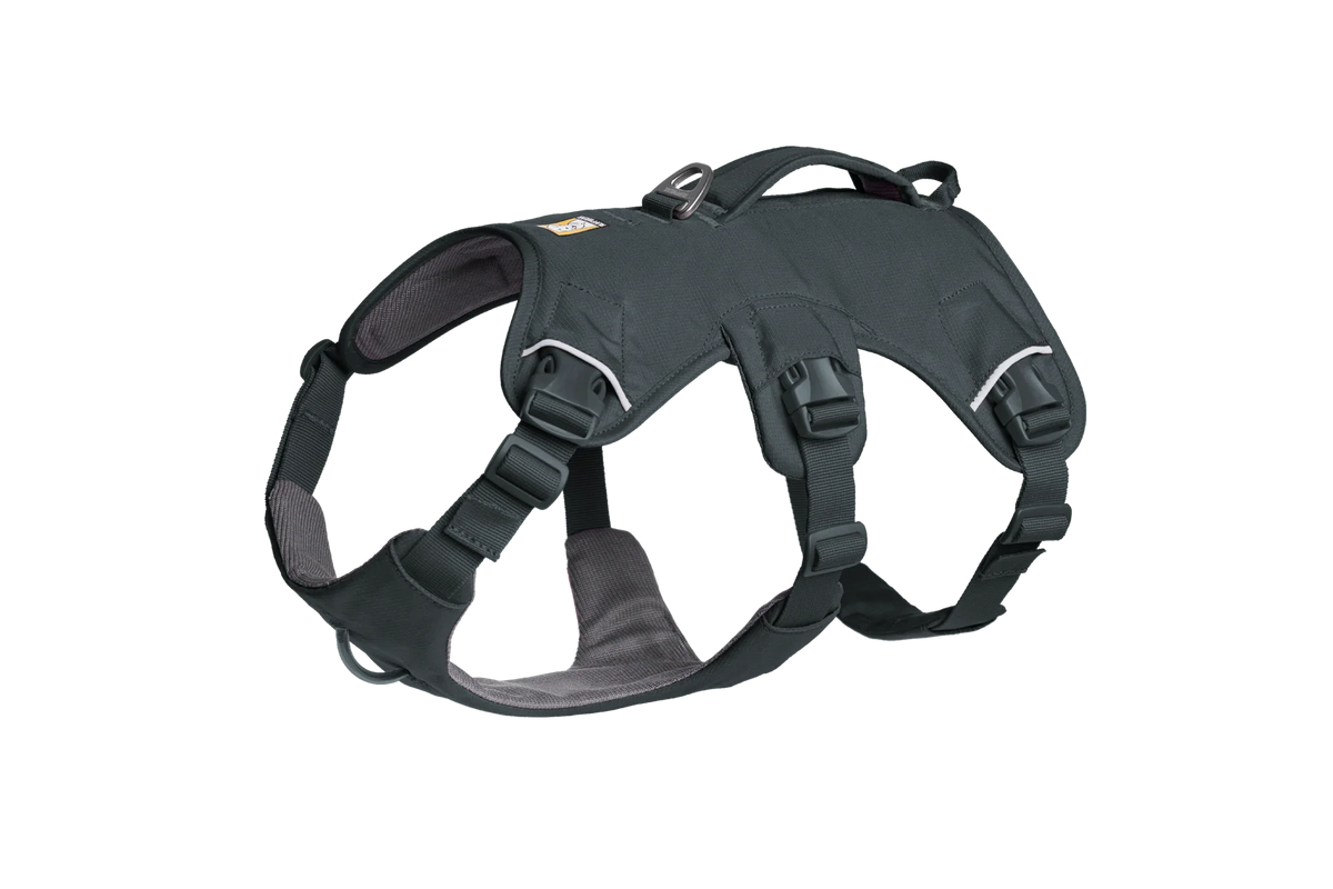 Web Master™ Dog Harness with Handle