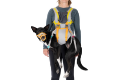 BackTrak™ Dog Evacuation Kit
