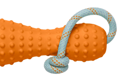 Gourdo™ Rubber Throw Toy