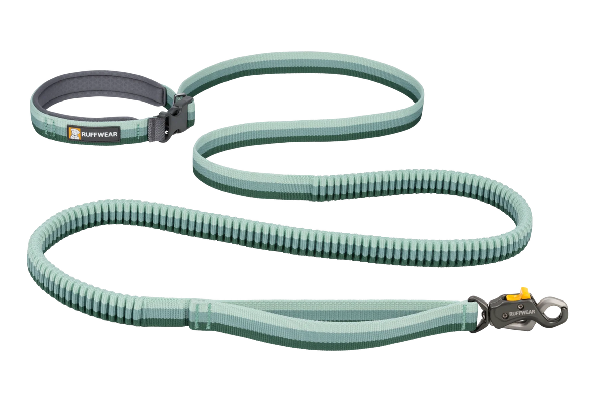 Roamer Lock™  Bungee Dog Leash