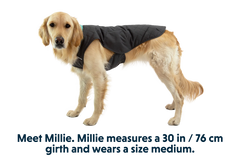 Stumptown™ Insulated Vest
