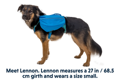 Approach™ Dog Backpack