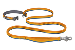 Roamer™ Bungee Dog Leash