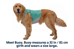 Swamp Cooler Zip™ Cooling Dog Vest